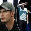 Andy Murray takes up a new role one week after shock coaching split with Novak Djokovic six weeks before the start of Wimbledon