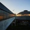 Sommerwetter in Berlin: Nachtigall, Schwalbe und Kuckuck schon in Berlin zurück