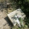 Franse politie pakt broers op voor kappen herdenkingsboom voor vermoorde Jood
