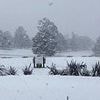 Australia is hit by its biggest snowfall for decades with wild weather bringing 20 inches of snow in some areas