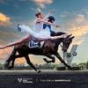 Hippisme. La Journée des champions, l’un des trois temps forts de l’année à Vincennes