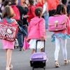 Vague de chaleur : plusieurs écoles vont rester fermées en début de semaine en France