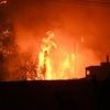 Waldbrände: Griechenland: Mehr als 300 Brandstifter festgenommen