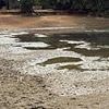 Open water swimmers left stuck in the mud as hot weather sees reservoir drop to 'unprecedented' levels