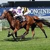 Robin Goodfellow's racing tips: Best bets for Thursday, May 1