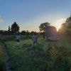 Potsdams neuer Stadtacker: Gemeinsam ackern und Gemüse ernten in Eiche