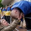 Nieuw tribunaal kan Poetin vervolgen voor inval in Oekraïne – maar pas als hij geen president meer is