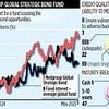 NEDGROUP GLOBAL STRATEGIC BOND FUND: The world's your oyster... if you think strategically about bonds