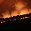 Les incendies en Syrie enfin maîtrisés après dix jours de lutte