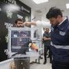 Größte Operation in Brasilien: Illegaler Wildtierhandel in Rio: Polizei befreit Exoten