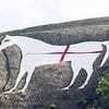 Police probe launched after historic white horse landmark was altered to feature St George's Cross