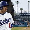 Yankees fan left 'in pain' after shocking incident at Dodger Stadium during World Series rematch