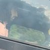Moment Chelsea FC star Marc Cucurella is caught 'using his phone behind the wheel' of his £140k Mercedes G-Wagon