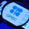 OPEC'ten dünya ekonomisi tahmini