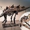 Inside the multi-million pound Jurassic underworld: How oligarchs and the uber-rich are in a cut-throat race for trophy dinosaur bones - and criminals are cashing in