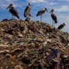 Verbrand en gedumpt in Turkije: hoe Nederlandse ondernemers sjoemelen met plastic afval