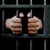 'Stop letting criminals choose their own gender', UN warns after UK police forces allow 49 rapists to identify as female offenders
