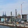 Geschäft mit Pflanzenschutz: Bayer gibt Standort Frankfurt auf - 500 Jobs betroffen