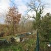 Umstrittener Park entsteht in Spandau: Am „Grünen Ring“ rollen bald die ersten Bagger