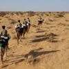 Mauritanie : des sentinelles dans le désert