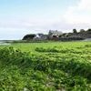 L’interdiction d’accès au public se prolonge sur cette plage bretonne polluée par les algues vertes