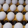 Pénurie d'œufs : pourquoi ce produit dont la consommation bat des records en France vient à manquer dans les rayons ?