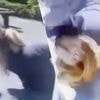 Meisje (13) wordt op speelplaats in Oudenaarde geschopt en aan haren gesleurd: “Ze werd de dag ervoor al bedreigd”