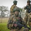 Wer bedient im Ernstfall die Waffen? : Auch Pistorius sollte kämpfen – für die Wehrpflicht