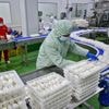 China's factory activity contracts in May, but there are signs of improvement