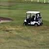 Fake America Great Again?! Moment Trump's golf caddy appears to surreptitiously drop ball in prize spot before president takes shot