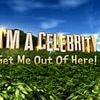 I'm A Celebrity winner reveals they've joined flurry of stars using weight loss jabs to shed the pounds - but admits 'we don't yet know the side effects'