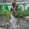 Alligator that starred in 'Happy Gilmore' dies of old age in Colorado