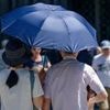 Hitzekuppel über Deutschland: Temperaturrekord möglich – Meteorologen warnen vor mehr als 40 Grad