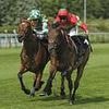 Robin Goodfellow's racing tips: Best bets for Thursday, June 5