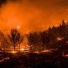 CARTES. Surface, départements touchés… Comment les feux de forêt ont évolué en France depuis 2006