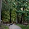 De eigen wetten van park De Hoge Veluwe, een omheind ‘Gelders dwergstaatje’