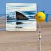 Zwemmers spotten haaienvin in Noordzee, net over Belgische grens: strand Bray-Dunes even ontruimd