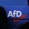 Wird der AfD-Stiftung der Geldhahn abgedreht?: Landesförderung der „Erasmus-Stiftung“ sorgt in Brandenburg weiter für Aufsehen