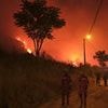 Raging wildfires hit another popular British holiday destination: Turkey next to suffer deadly blazes as country swelters in 50.5C heat