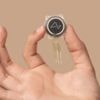 Neuralink wirbt in Finanzierungsrunde 600 Millionen US-Dollar ein