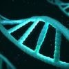 Patentstreit um CRISPR: Wer hat die Genschere wirklich erfunden?