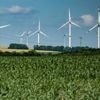 „Auf den Rieselfeldern ein No-Go“: Windkraftpläne des Berliner Senats lösen teils heftige Kritik in den Bezirken aus