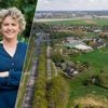 Onze toekomst hoeft niet somber te zijn, zegt sociaal geograaf: ‘De stad is nu véél groener’