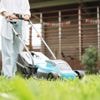 “Wil je toch je gazon maaien, doe het dan minder kort”: dit staat je deze maand te doen in je tuin