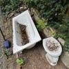 „Ich wasche meine Mutter auf der Terrasse“: Wie die Deutsche Wohnen eine 85-Jährige zwei Monate lang ohne Dusche und Toilette ließ