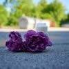 Gemeinschaftlicher Mord?: Tod von 14-Jährigem - zweiter Teenager unter Verdacht