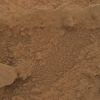 NASA fotoğrafladı: Kızıl Gezegen'de yetişen gizemli mantar