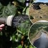 When a hosepipe can still be used despite the ban: From religious ceremonies to looking after a fish pond, all the exemptions under the latest water restrictions