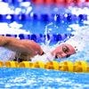 Mondiaux de natation : Marchand et Grousset en meilleures chances françaises, les horaires... Ce qu'il faut savoir sur les épreuves de natation course
