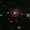 Joe Rogan is stunned by 'alien probe' hurtling towards Earth at 130,000mph